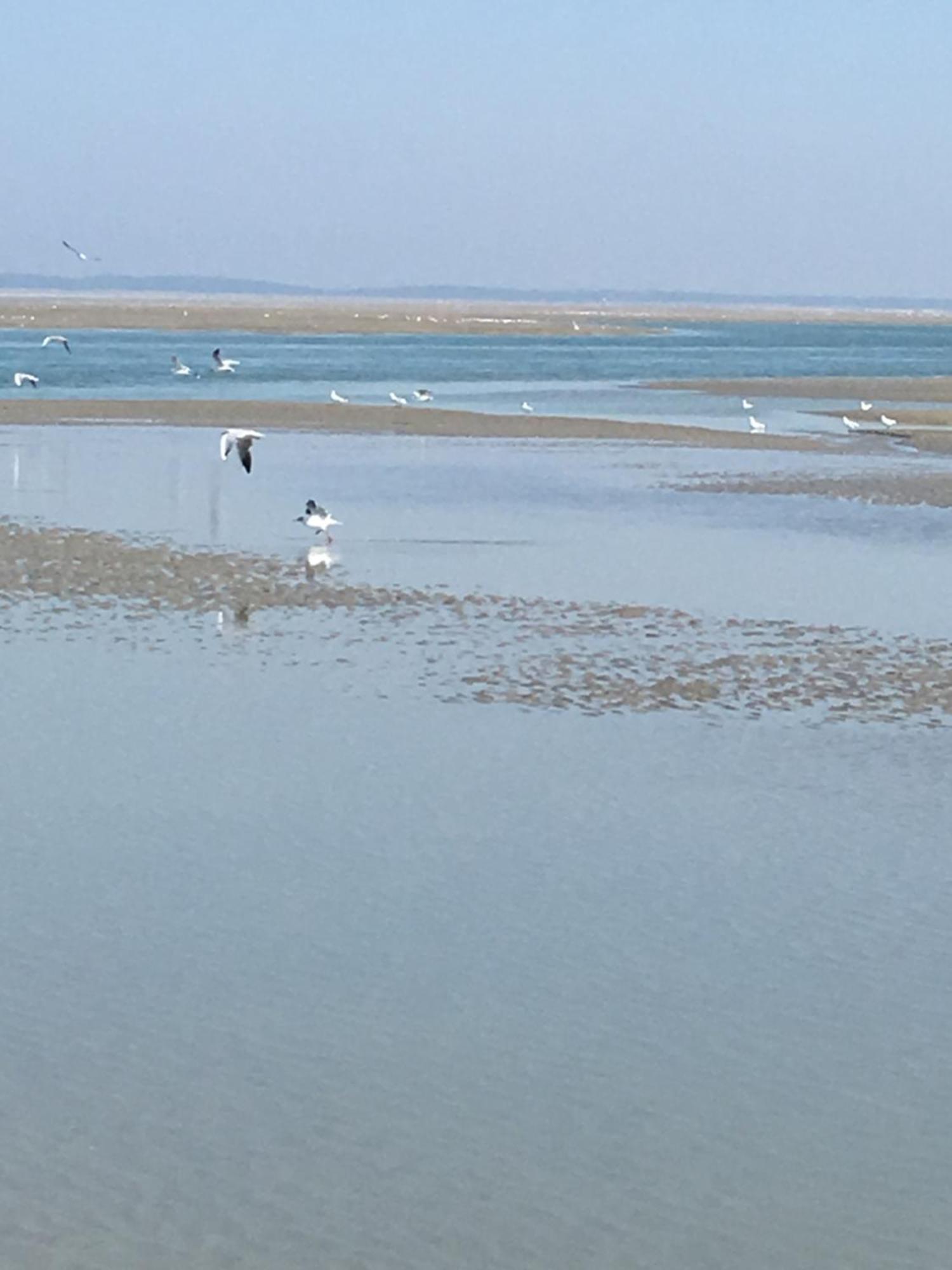 Maison De Pecheur Renovee A 3 Mn De La Mer. كايو سور مير المظهر الخارجي الصورة